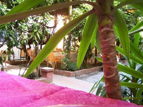 Albergo Lavagnese Lavagna Exteriér fotografie